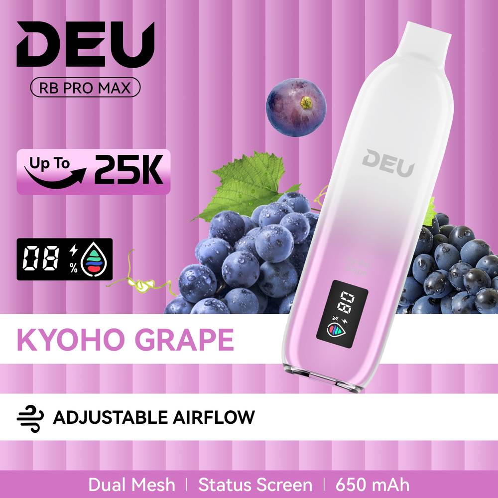 DEU_RB_PRO_MAX_25K_DISPOSABLE_VAPE_KyohoGrape