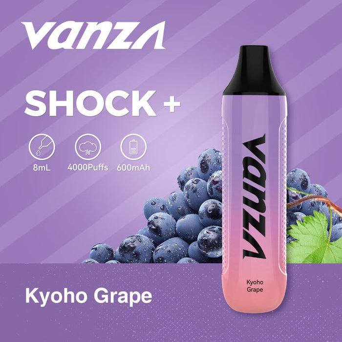 VANZA SHOCK+ Kyoho_Grape